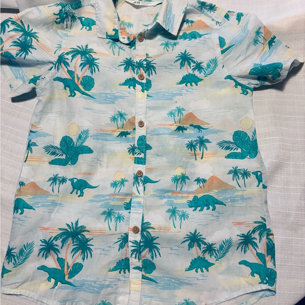 H&M Kids Dinosaur Print Button Down Shirt - Blue and Green